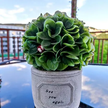 Appartamento Luxury - Residens Varna